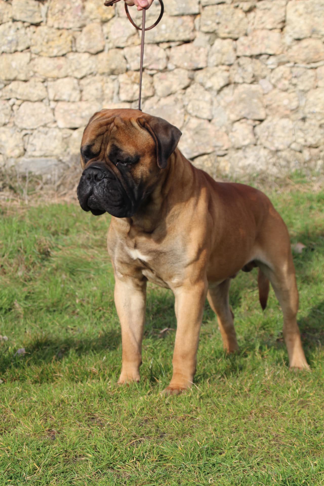 504686503_4013261475609379_3997879352582443747_n