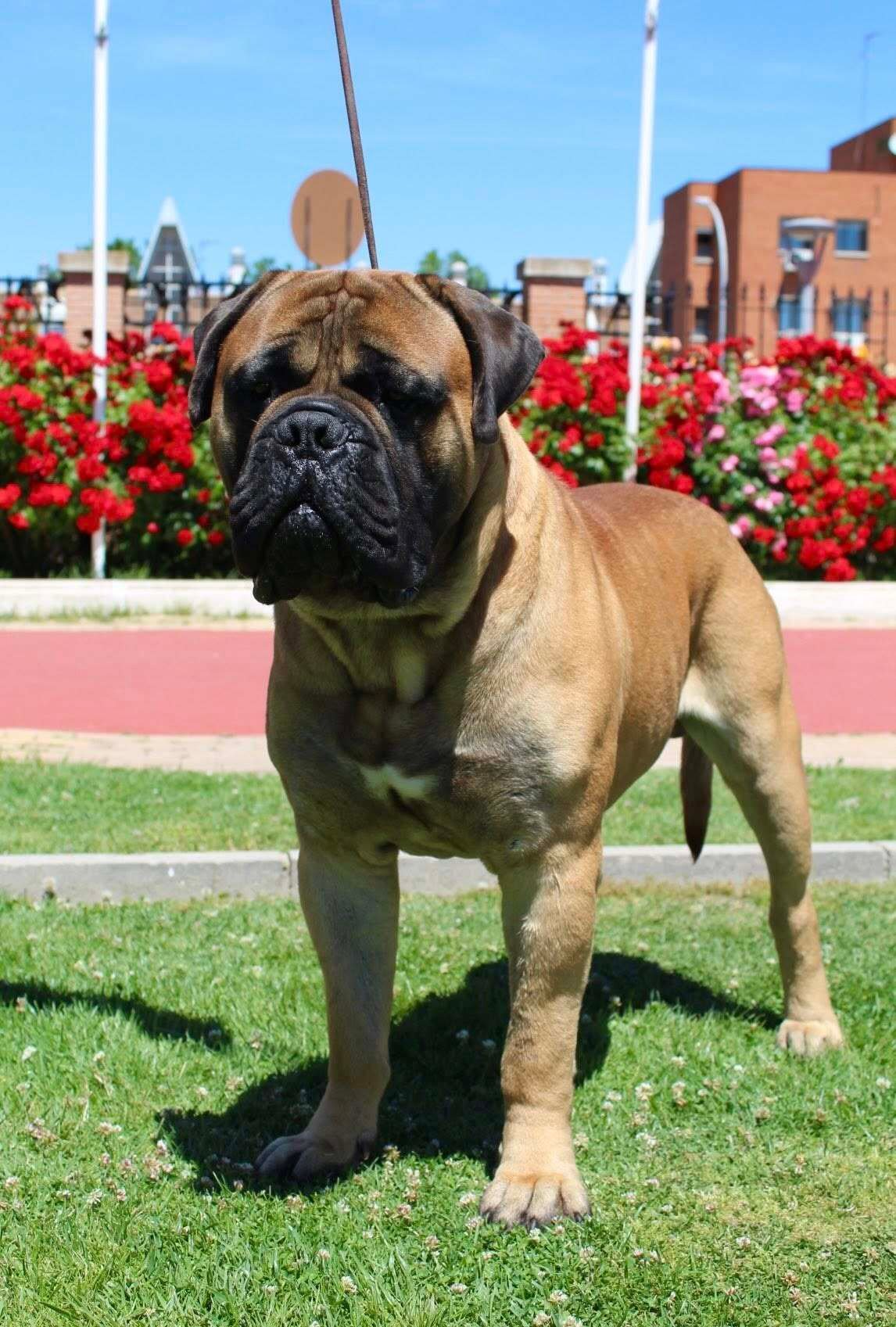 510525702_4029853473950179_4155658097352185713_n