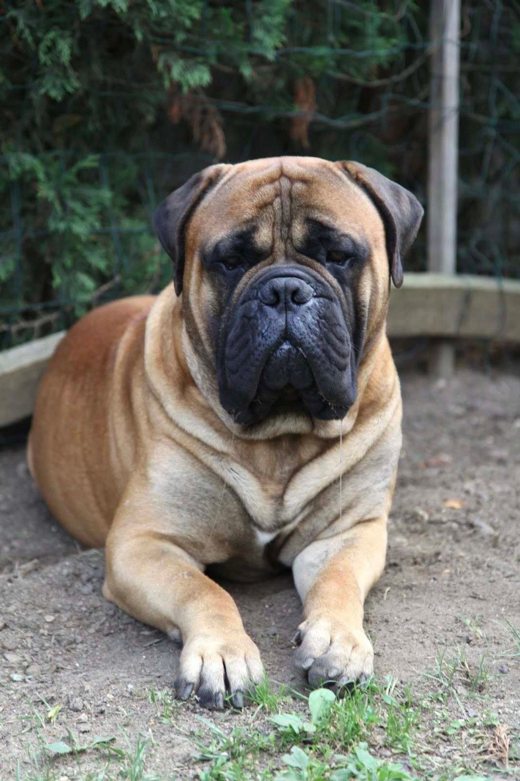 525393367_4065536677048525_346022188473196474_n