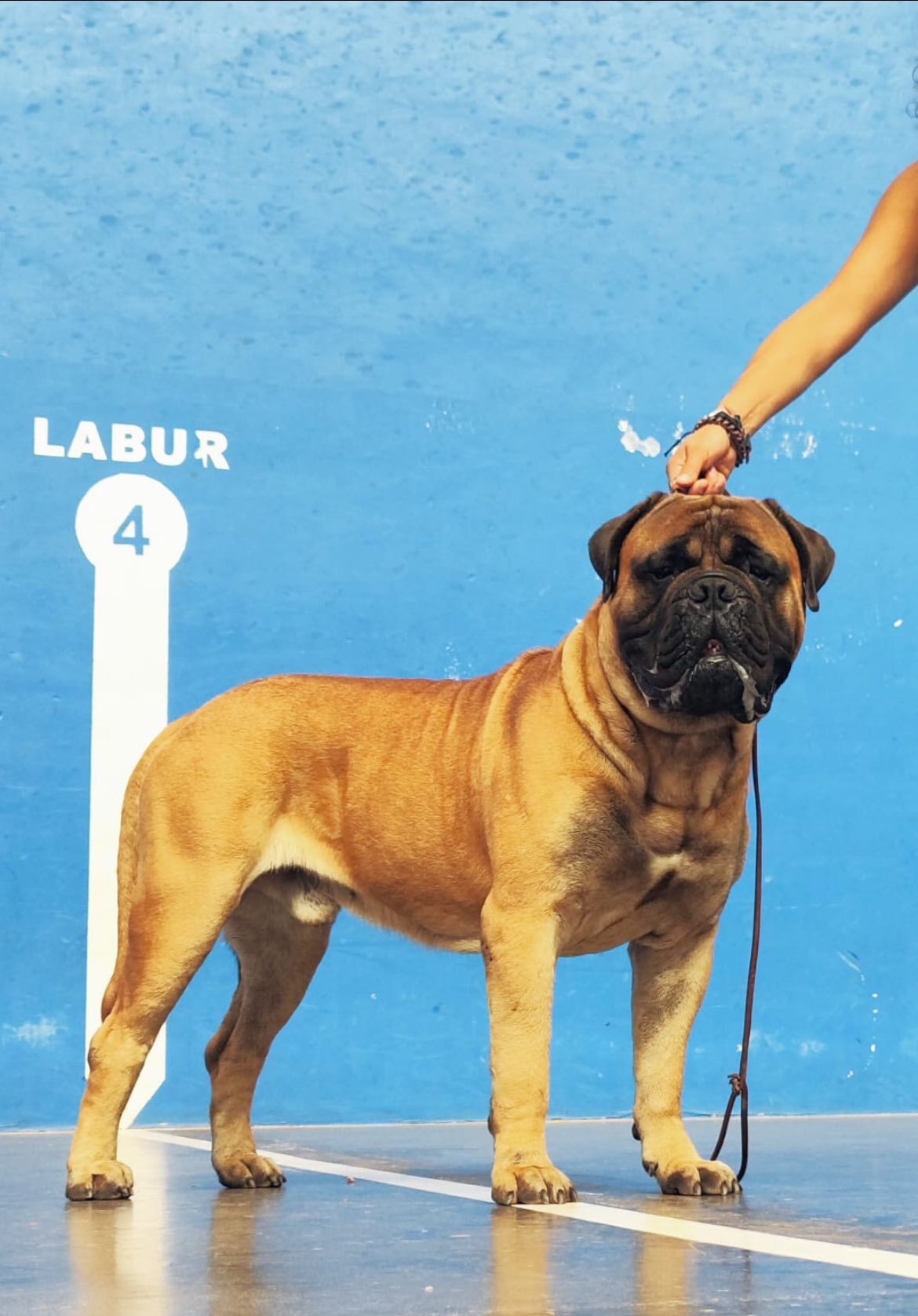 545175421_4104353956500130_8369619240145628525_n