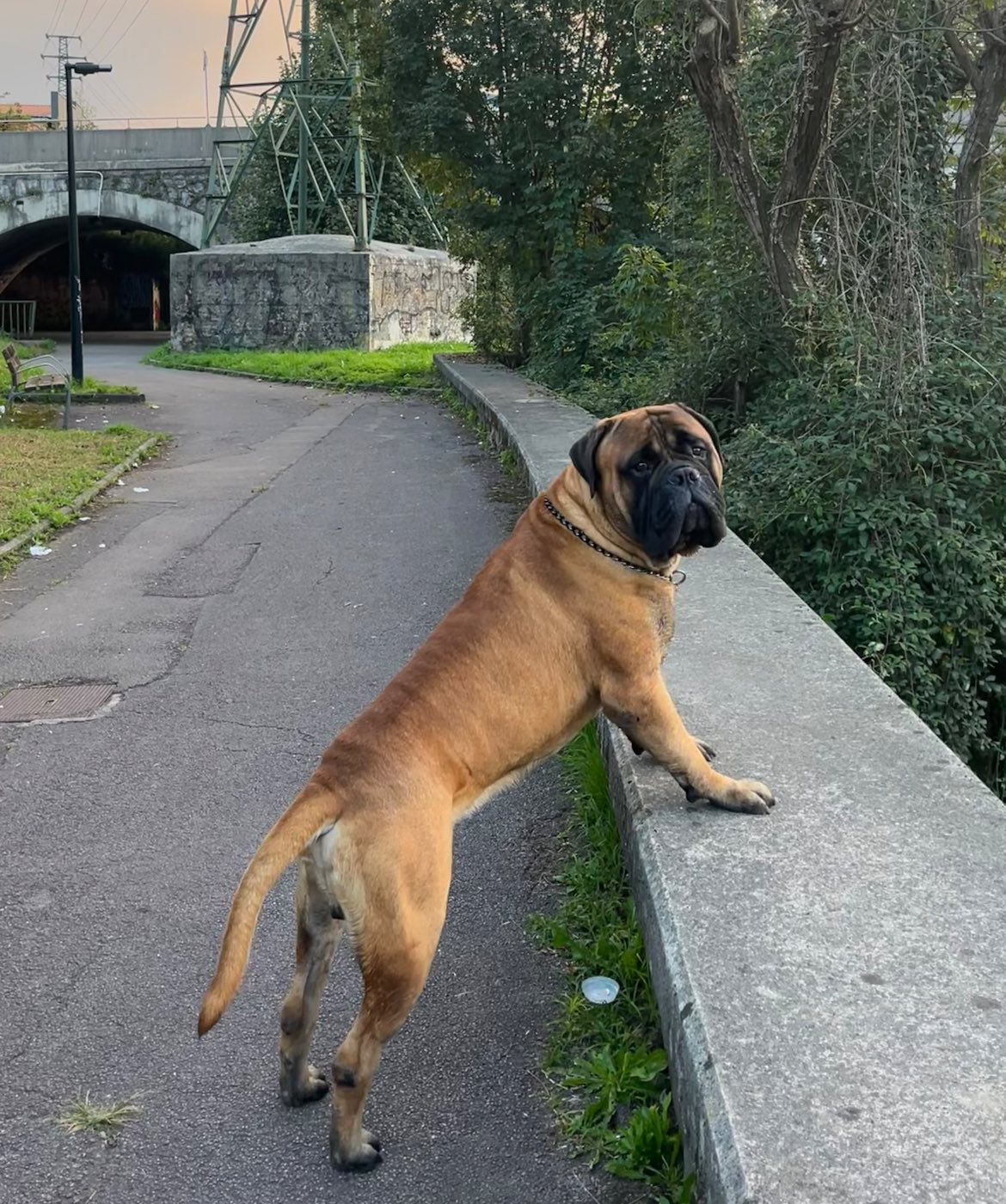 564189734_4143016052633920_6069285897834396131_n