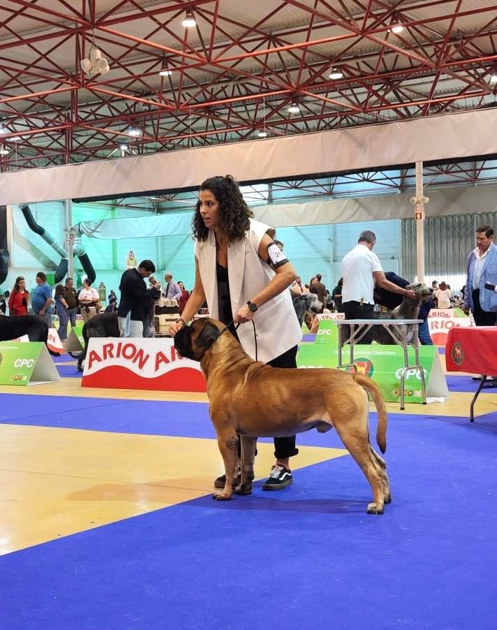 572372280_4155588474710011_4551816603085693805_n