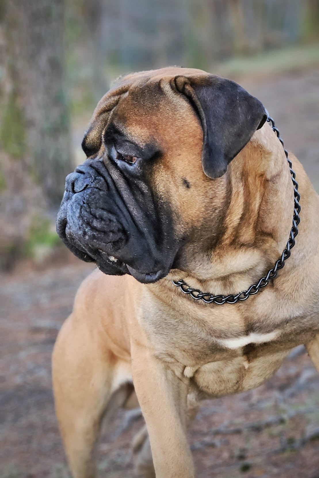 597737157_4202326903369501_2091440811377736695_n