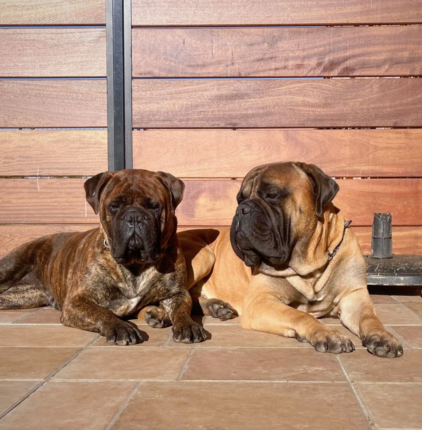 624732542_10164496762075522_8289406574957922239_n