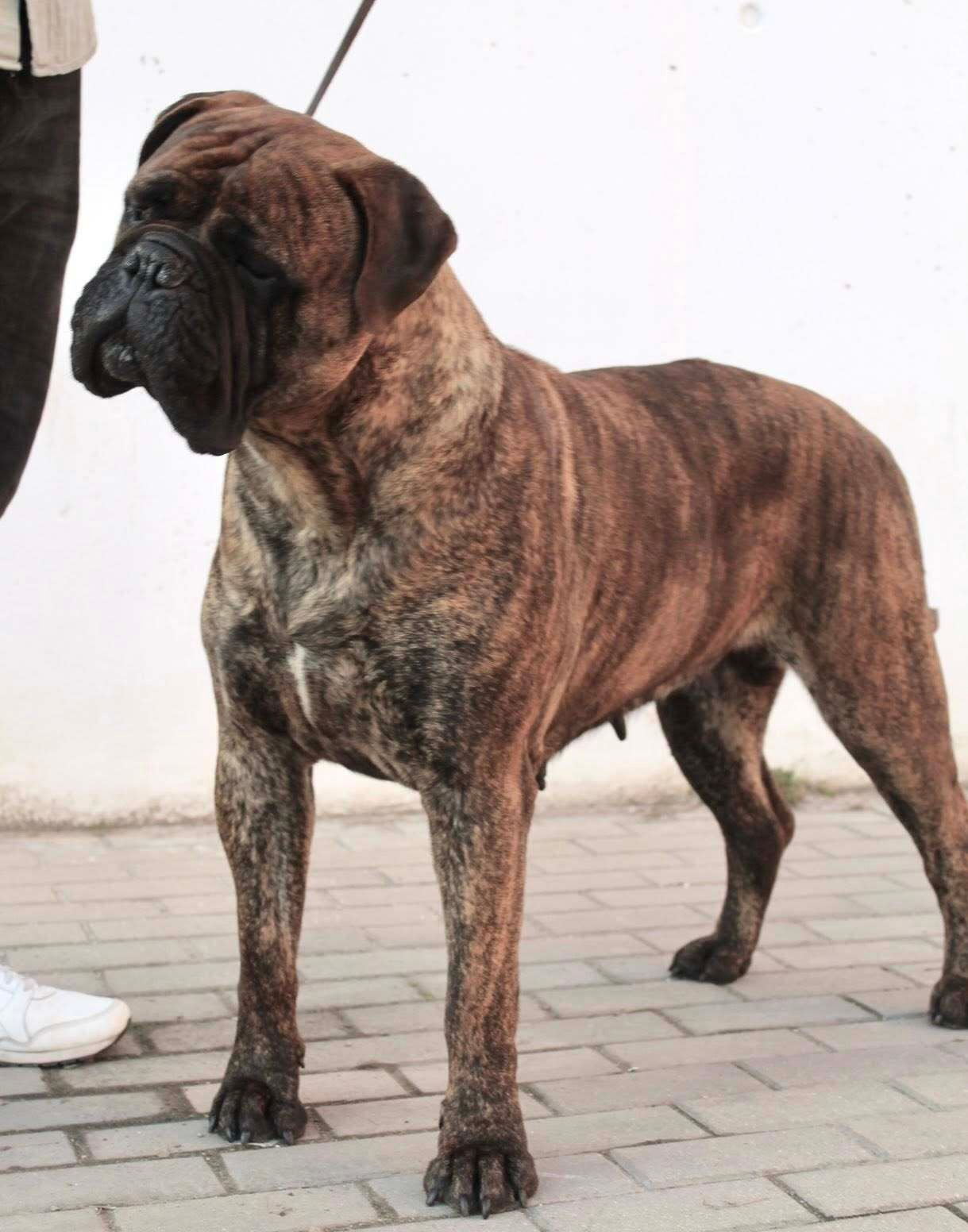 625292732_4249237775345080_810297600981054676_n