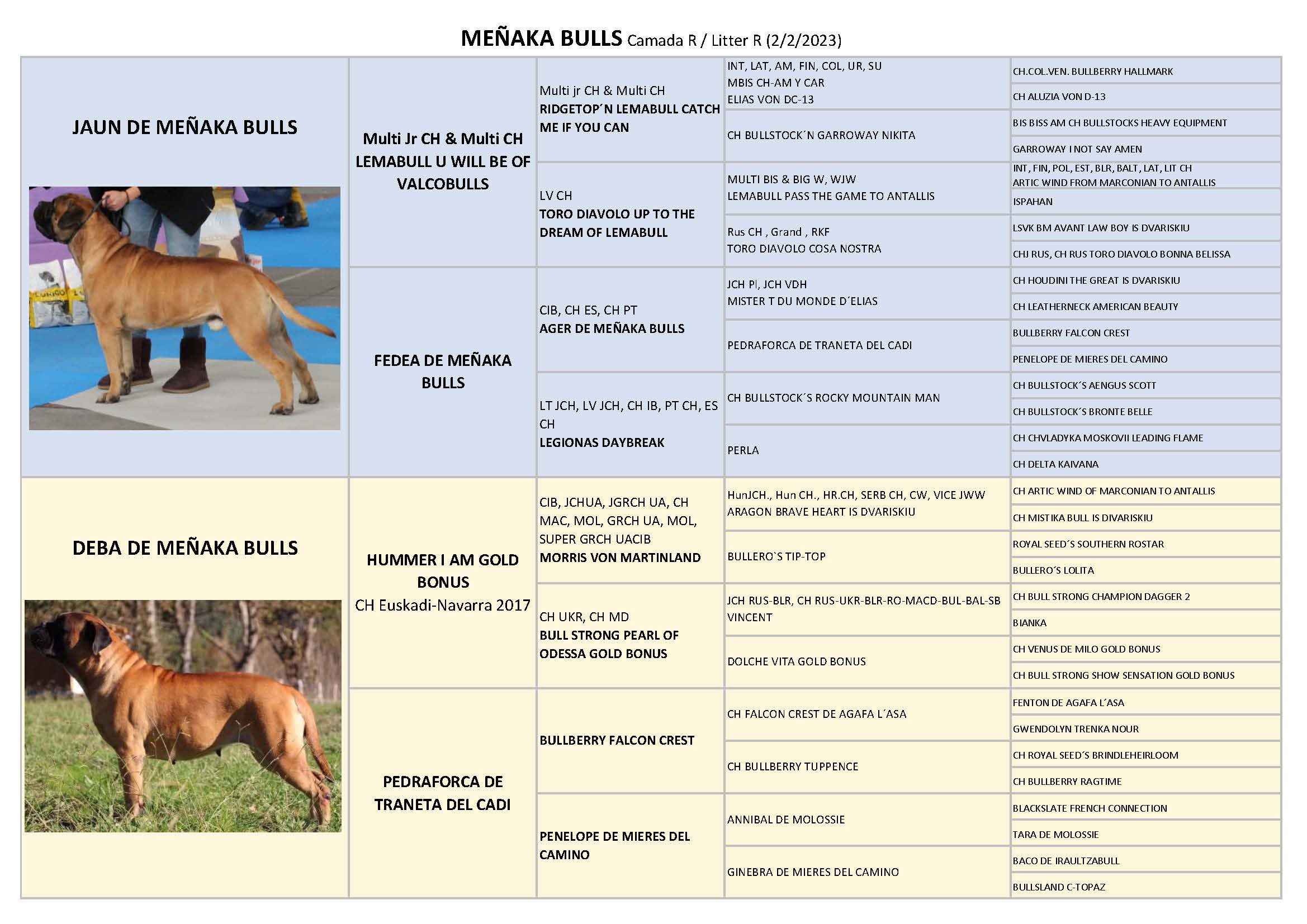 PEDIGREE CAMADA R