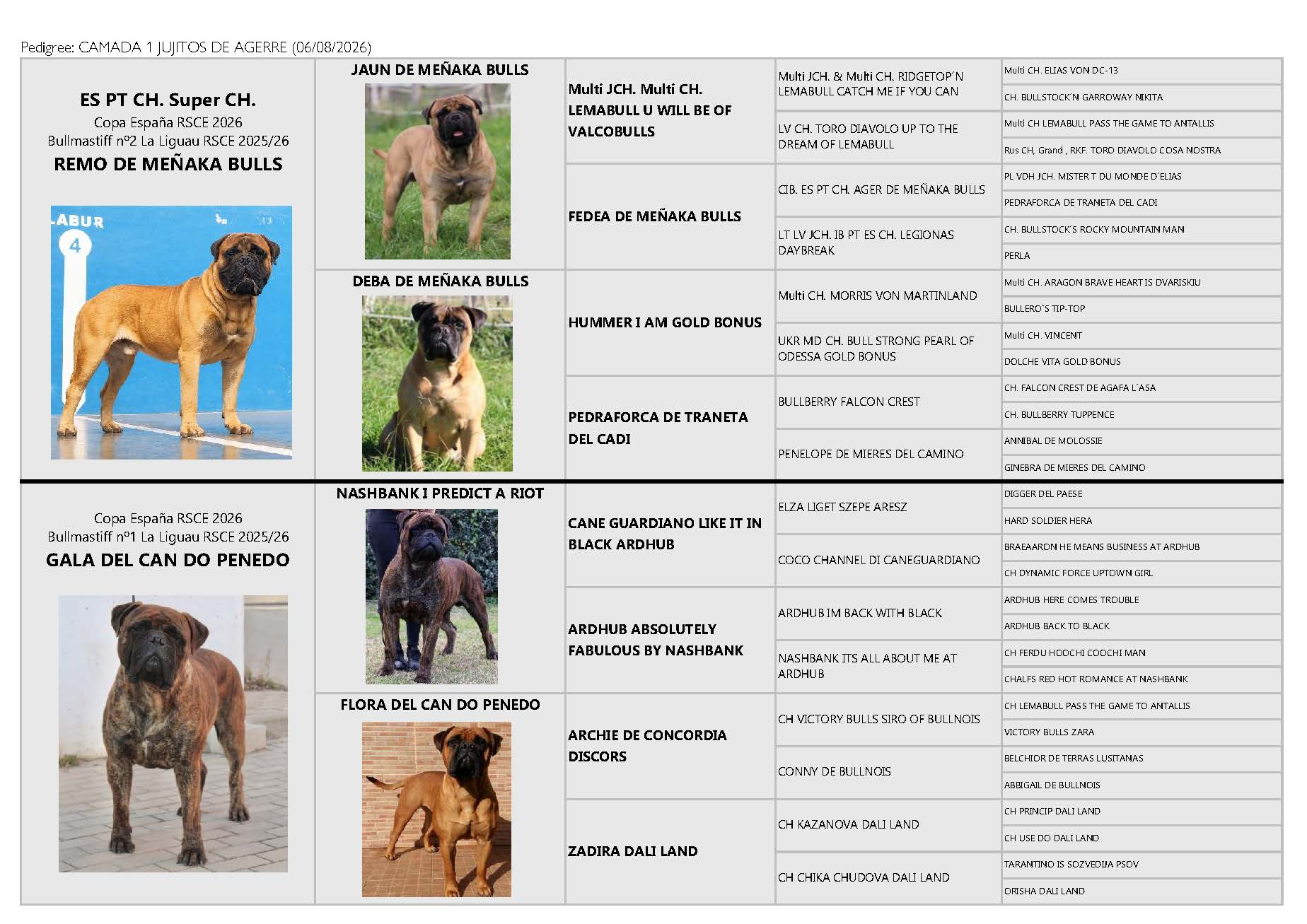 PEDIGREE JDA1 BLAS x GALA_Página_1-2