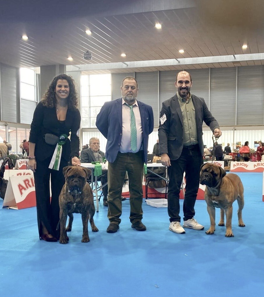 gala y blas 4